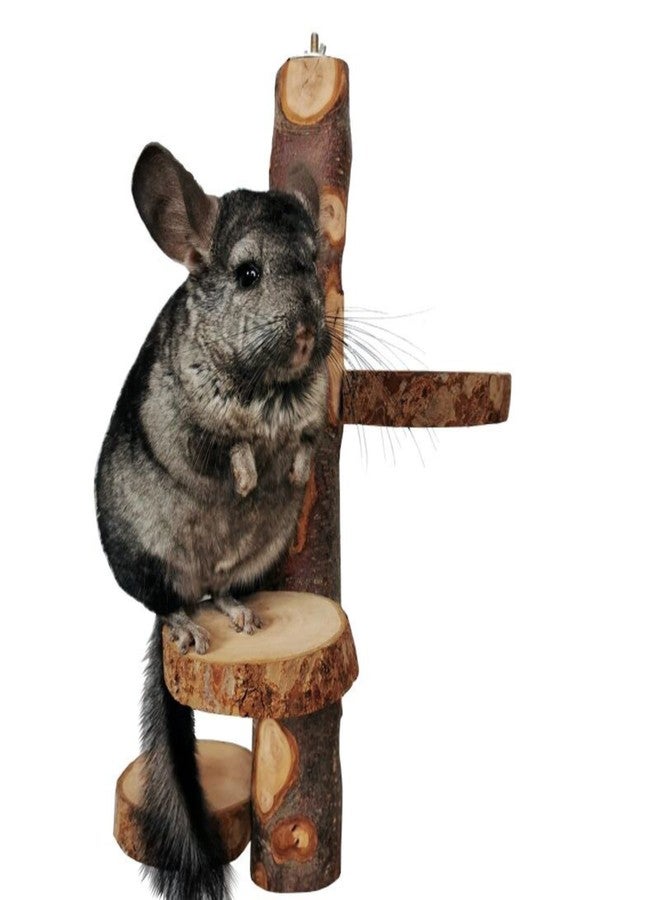 Barn Eleven Chinchilla Large Hanging Wooden Rotating Platform - Small Animal Natural Fruit Wood Standing Platform for Squirrels, Sugar Gliders & Birds - Image 1